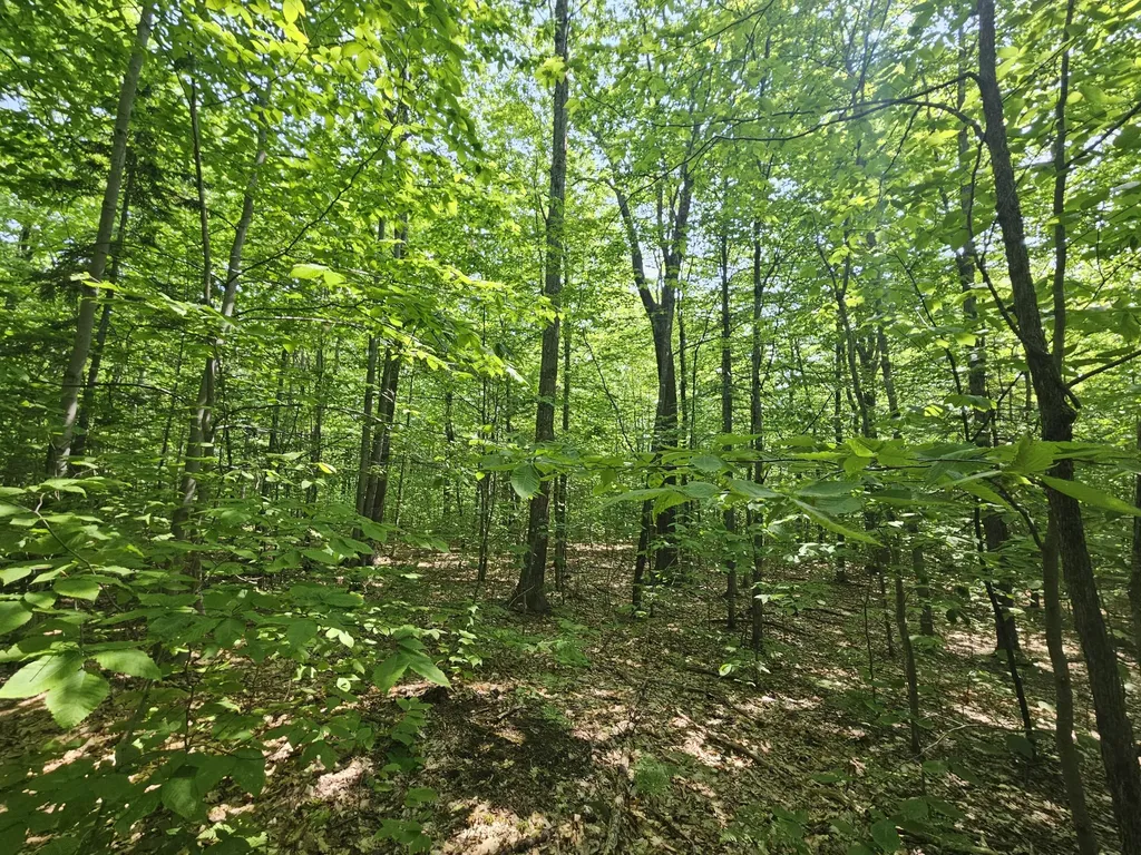 Lot 023-a Oak Hill Road Temple ME 04984