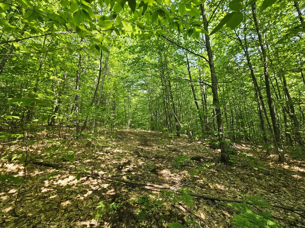 Lot 023-a Oak Hill Road Temple ME 04984