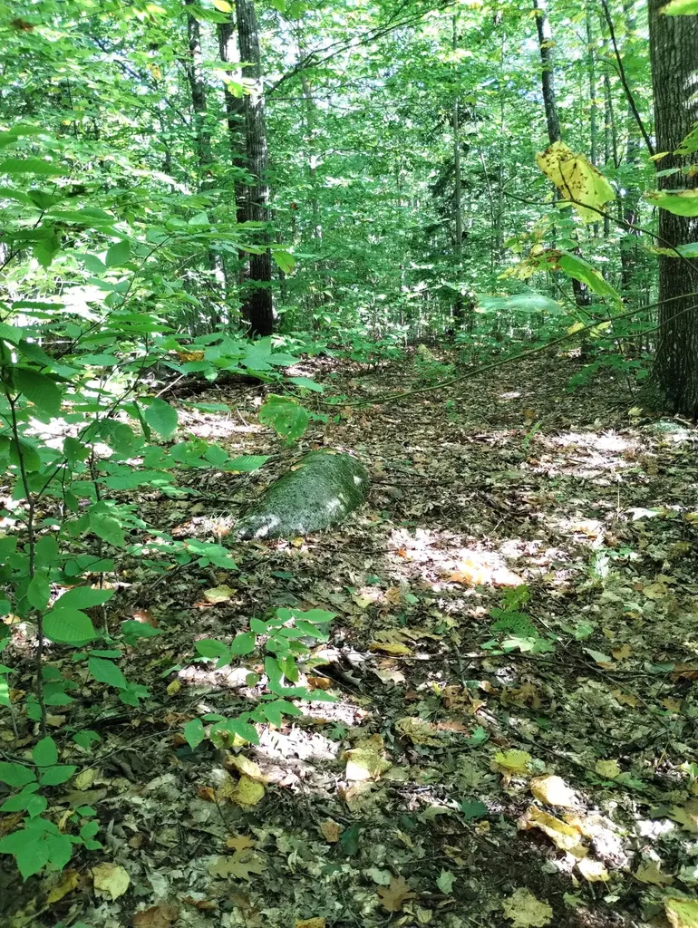 Lot 023-a Oak Hill Road Temple ME 04984