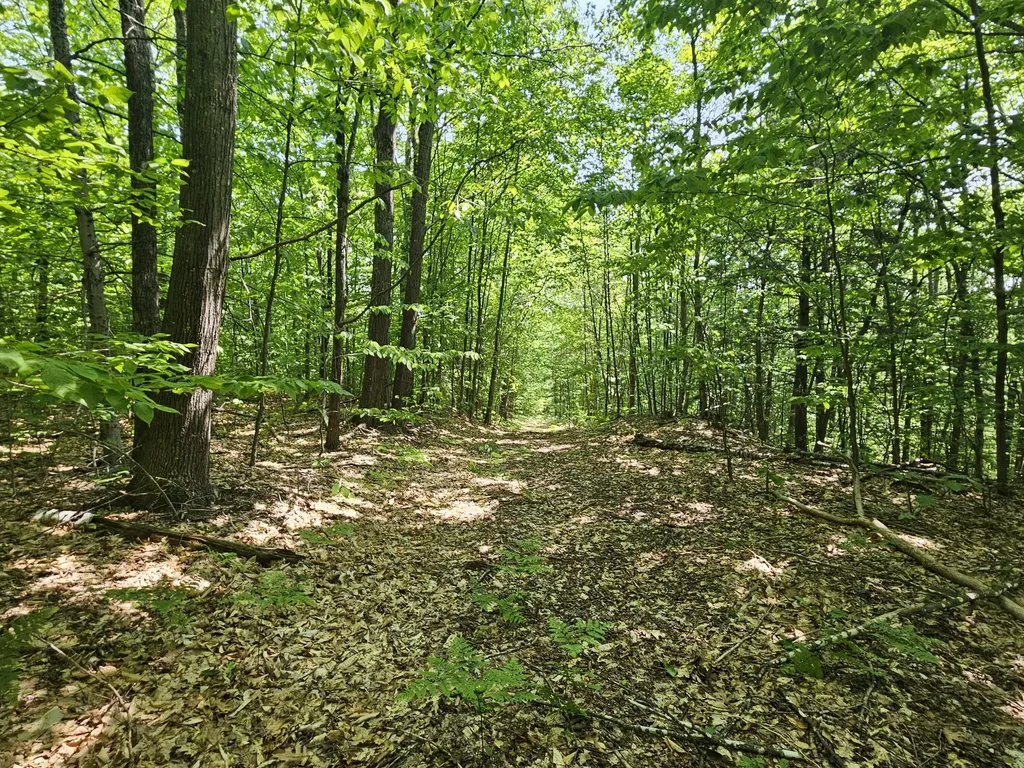 Lot 023-a Oak Hill Road Temple ME 04984