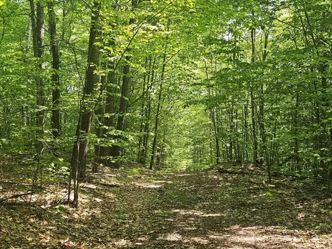 Lot 023-a Oak Hill Road Temple ME 04984