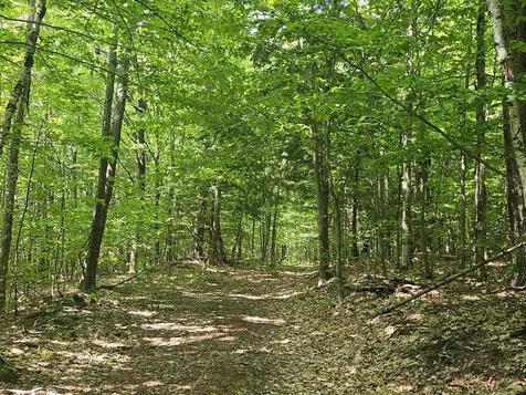 Lot 023-a Oak Hill Road Temple ME 04984