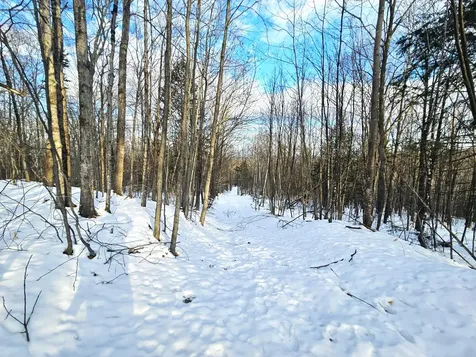 Lot 023-a Oak Hill Road Temple ME 04984