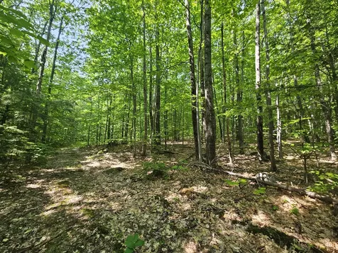 Lot 023-a Oak Hill Road Temple ME 04984