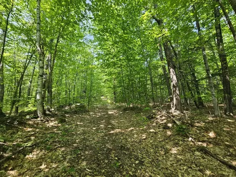 Lot 023-a Oak Hill Road Temple ME 04984
