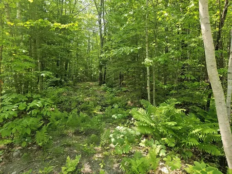 Lot 023-a Oak Hill Road Temple ME 04984