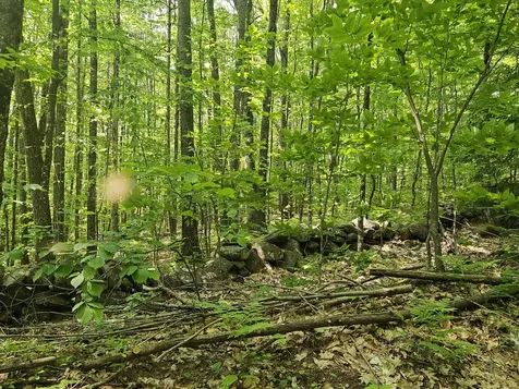 Lot 023-a Oak Hill Road Temple ME 04984