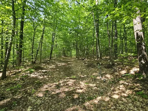 Lot 023-a Oak Hill Road Temple ME 04984
