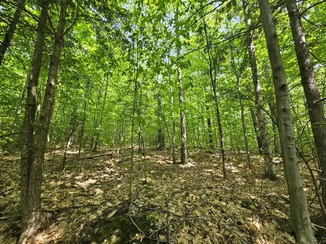 Lot 023-a Oak Hill Road Temple ME 04984