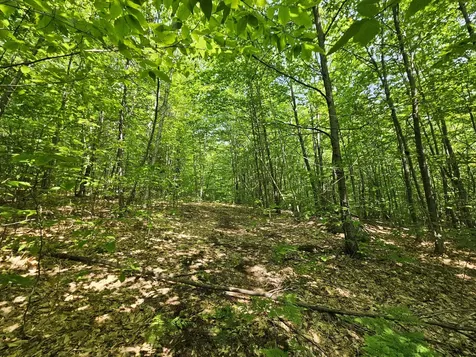 Lot 023-a Oak Hill Road Temple ME 04984
