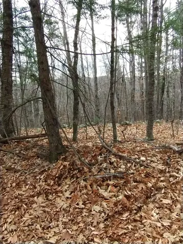 Lot 023-a Oak Hill Road Temple ME 04984