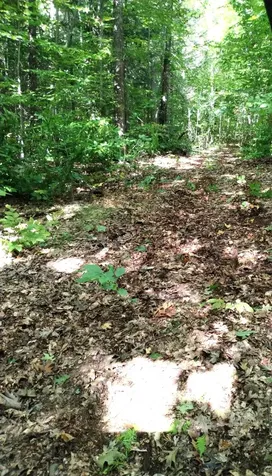 Lot 023-a Oak Hill Road Temple ME 04984