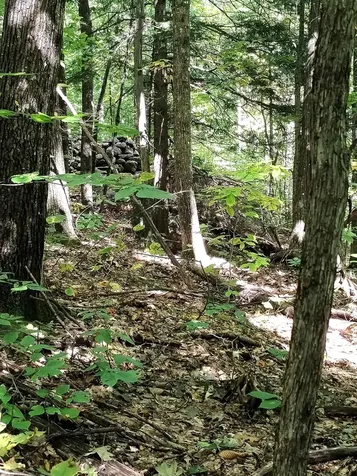 Lot 023-a Oak Hill Road Temple ME 04984