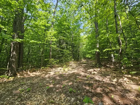 Lot 023-a Oak Hill Road Temple ME 04984