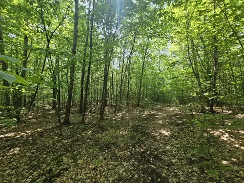 Lot 023-a Oak Hill Road Temple ME 04984