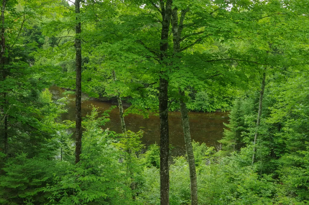58 River Road Abbot ME 04406
