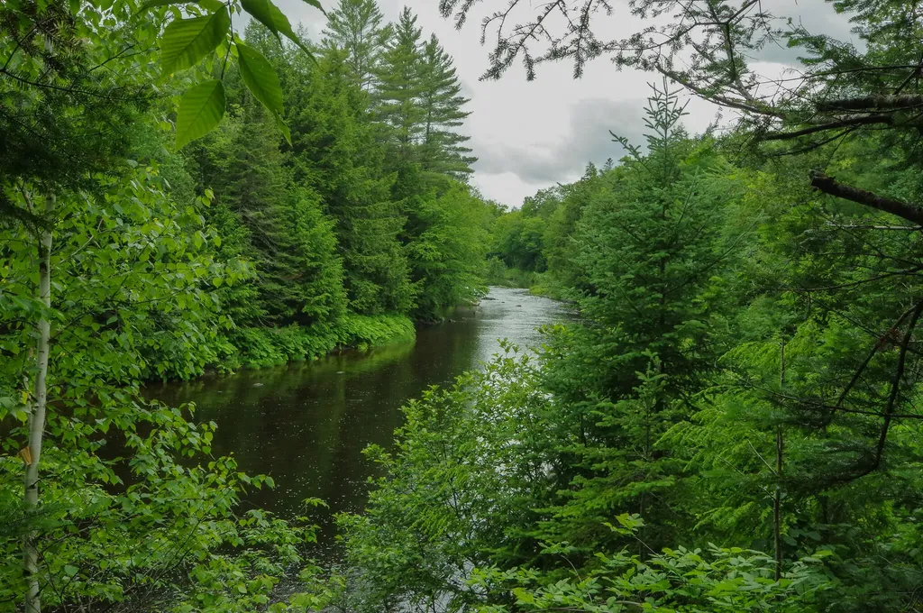 58 River Road Abbot ME 04406