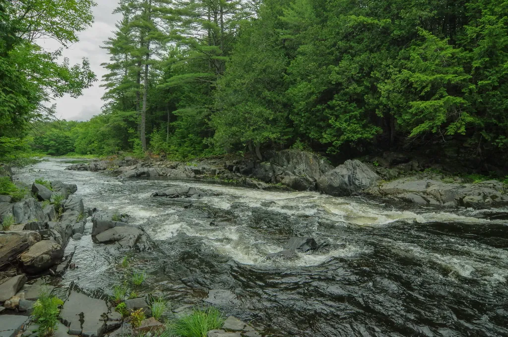 58 River Road Abbot ME 04406