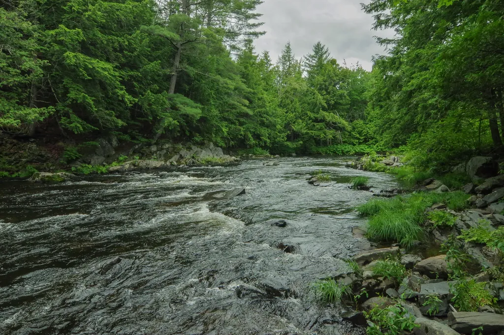 58 River Road Abbot ME 04406
