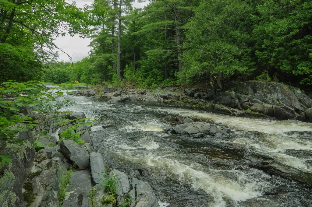 58 River Road Abbot ME 04406