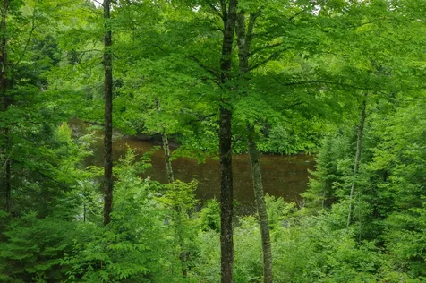 58 River Road Abbot ME 04406