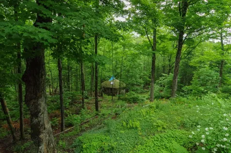 58 River Road Abbot ME 04406