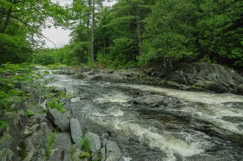 58 River Road Abbot ME 04406