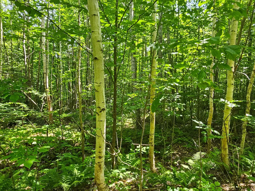 R05-007C-1 Hennessey Road Industry ME 04938
