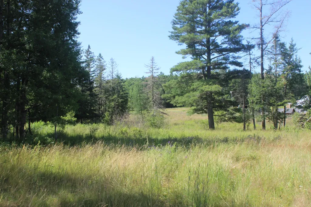 488 Old County Road Pembroke ME 04666