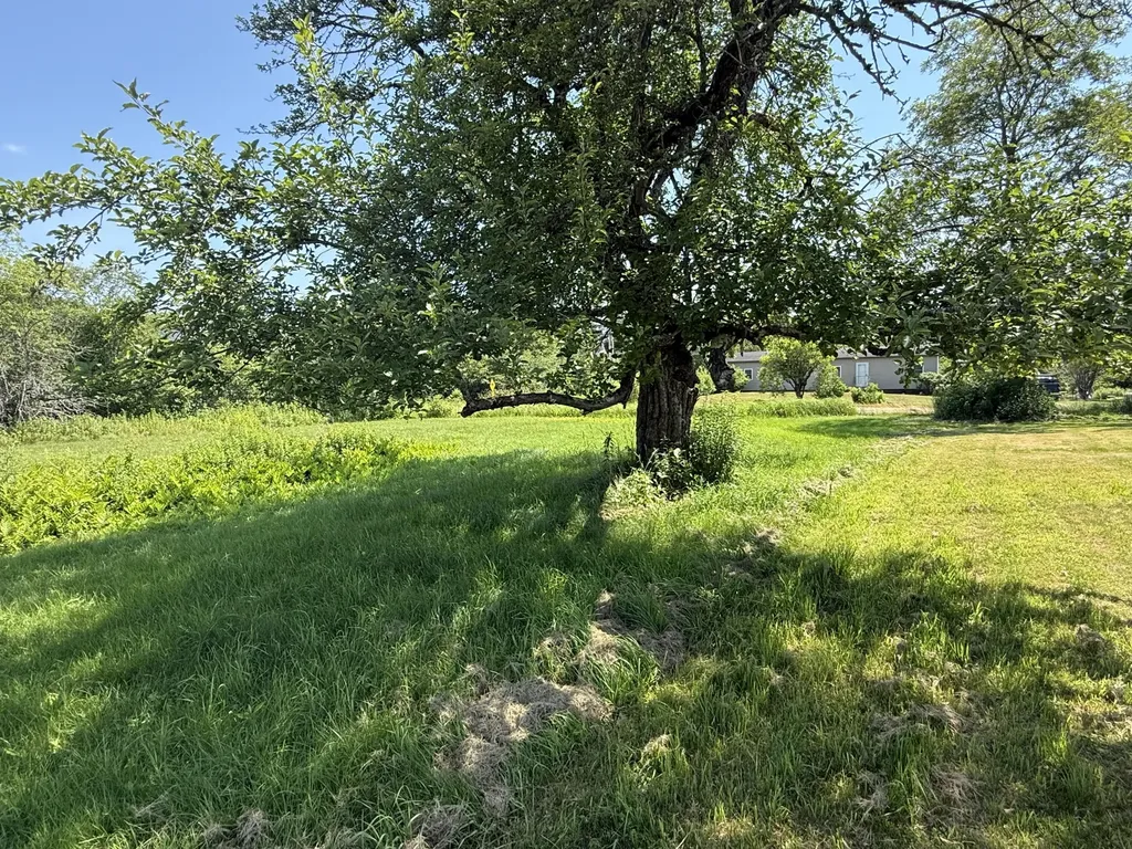 191 Water Street Addison ME 04606