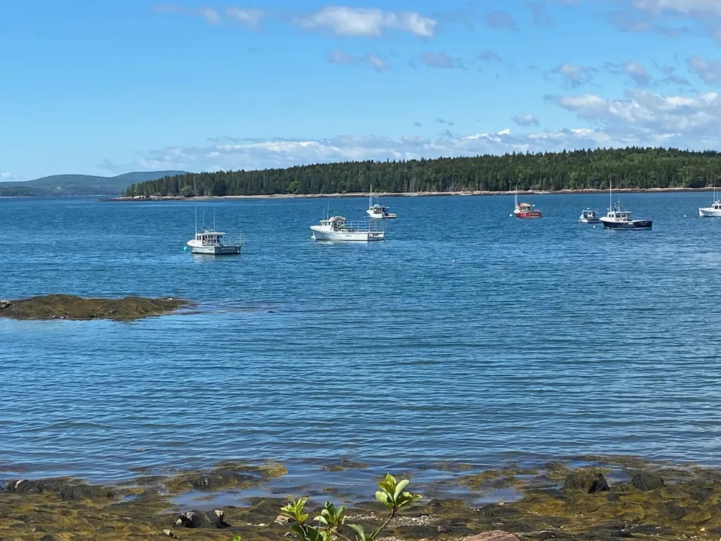 26 Boathouse Road Gouldsboro ME 04607