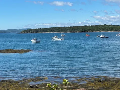 26 Boathouse Road Gouldsboro ME 04607