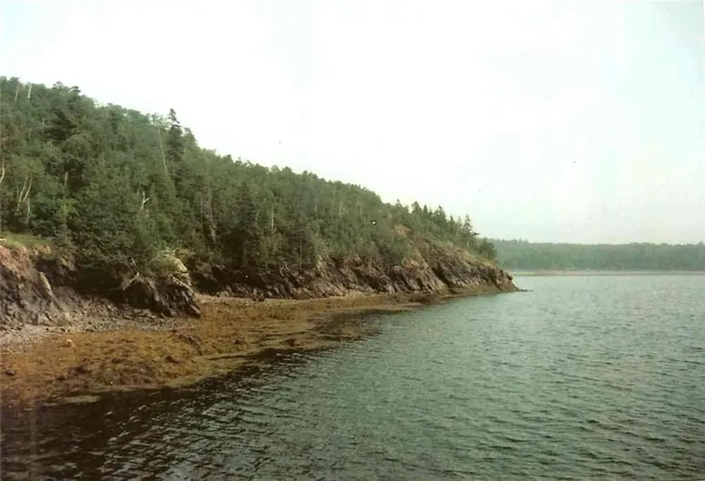 0 Mill Creek Lane Lubec ME 04652