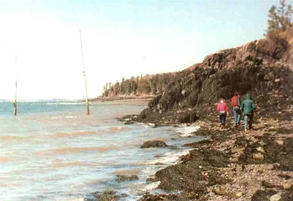 0 Mill Creek Lane Lubec ME 04652