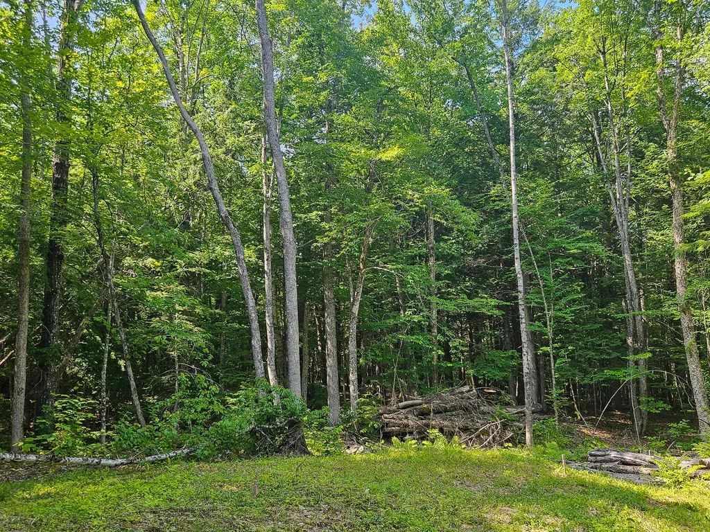 M U10 L6 Loon Cove Lane Strong ME 04983