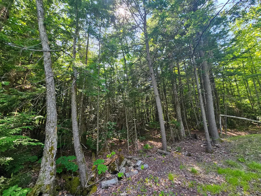 M U10 L6 Loon Cove Lane Strong ME 04983