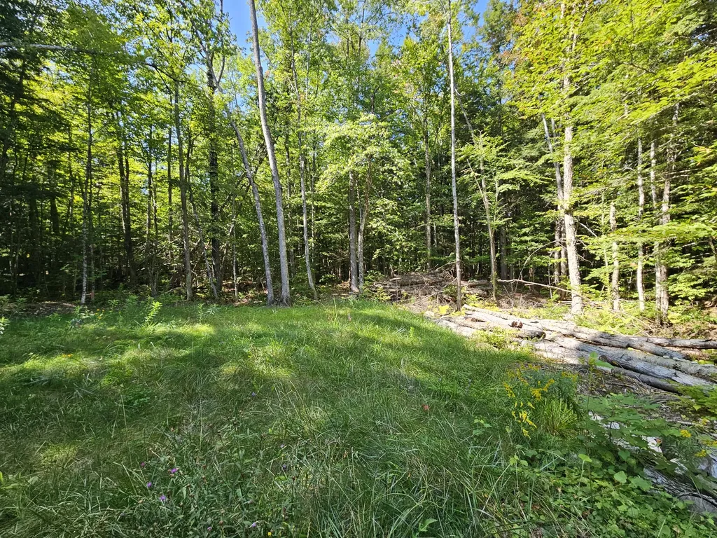 M U10 L6 Loon Cove Lane Strong ME 04983