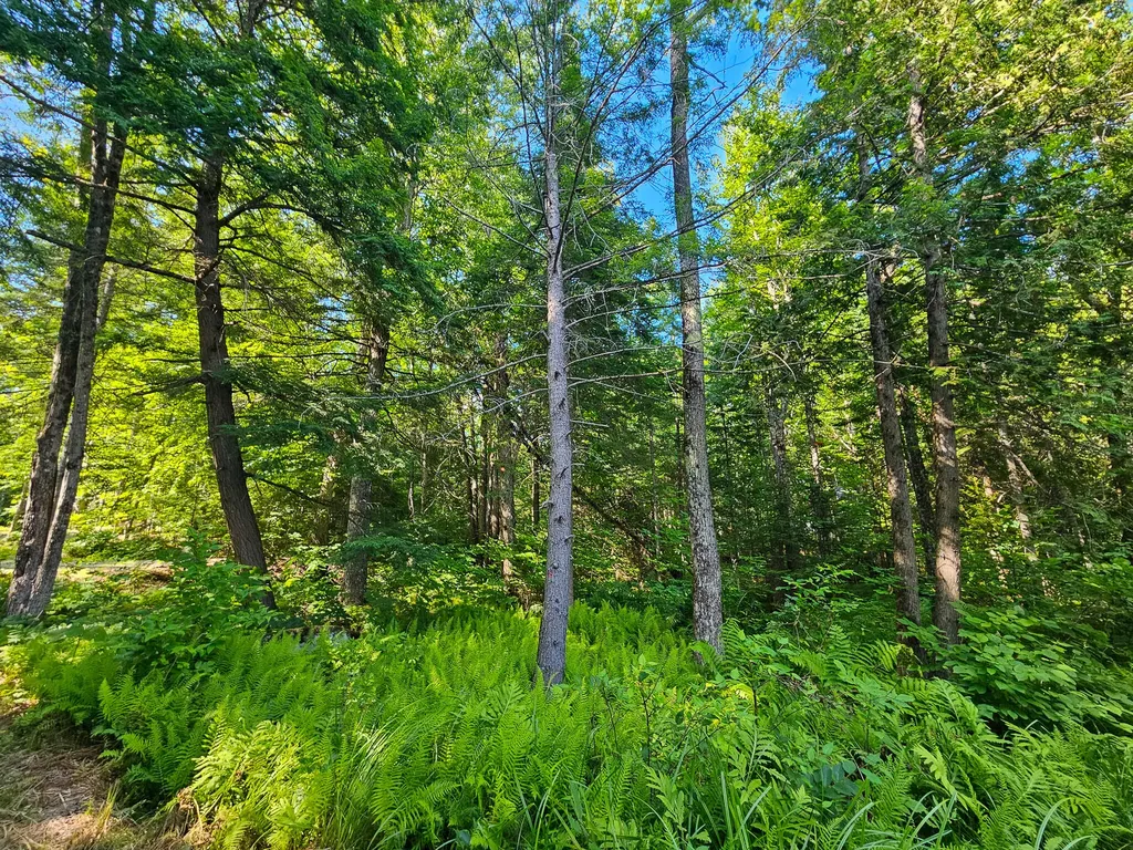 M U10 L6 Loon Cove Lane Strong ME 04983