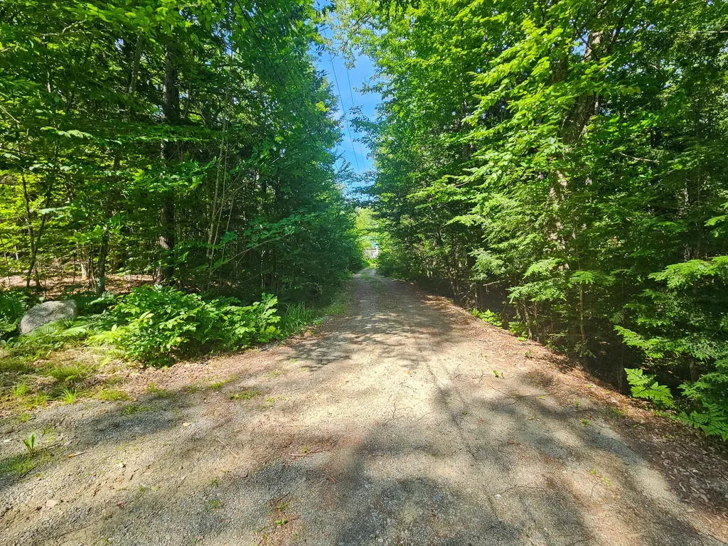 M U10 L6 Loon Cove Lane Strong ME 04983