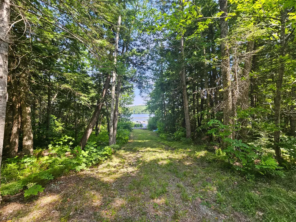 M U10 L6 Loon Cove Lane Strong ME 04983