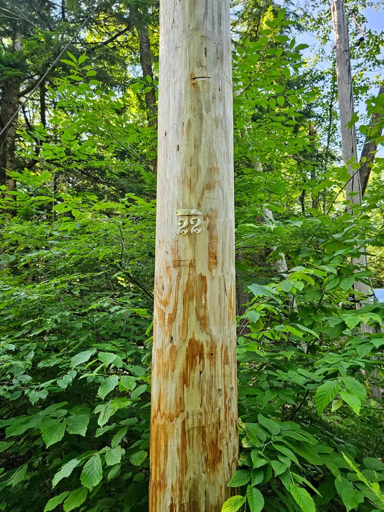 M U10 L6 Loon Cove Lane Strong ME 04983