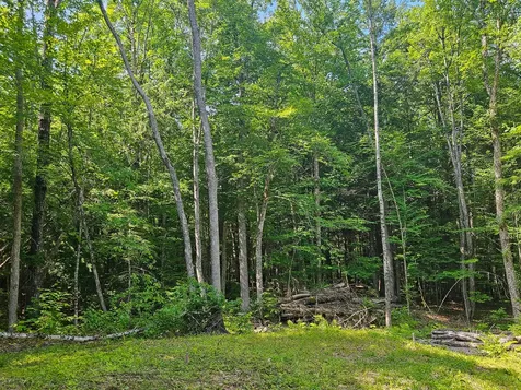M U10 L6 Loon Cove Lane Strong ME 04983