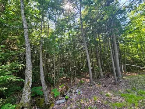 M U10 L6 Loon Cove Lane Strong ME 04983