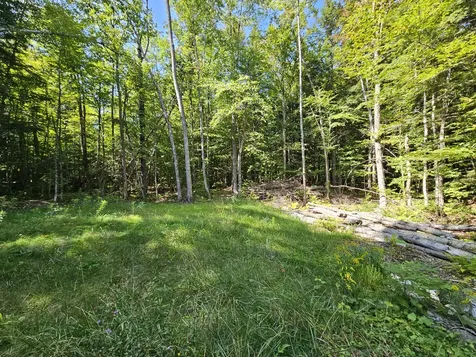M U10 L6 Loon Cove Lane Strong ME 04983