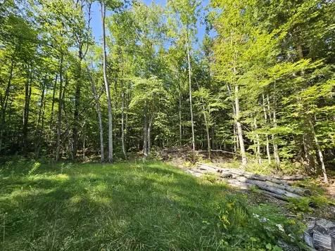 M U10 L6 Loon Cove Lane Strong ME 04983