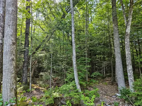 M U10 L6 Loon Cove Lane Strong ME 04983
