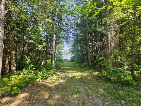 M U10 L6 Loon Cove Lane Strong ME 04983