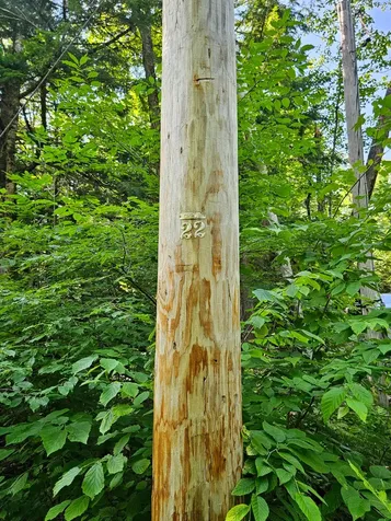 M U10 L6 Loon Cove Lane Strong ME 04983