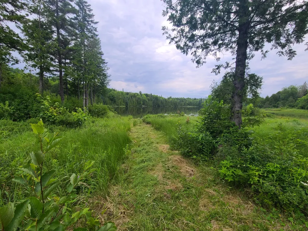 Lot 4 & 5 Russell Lake Road Linneus ME 04730