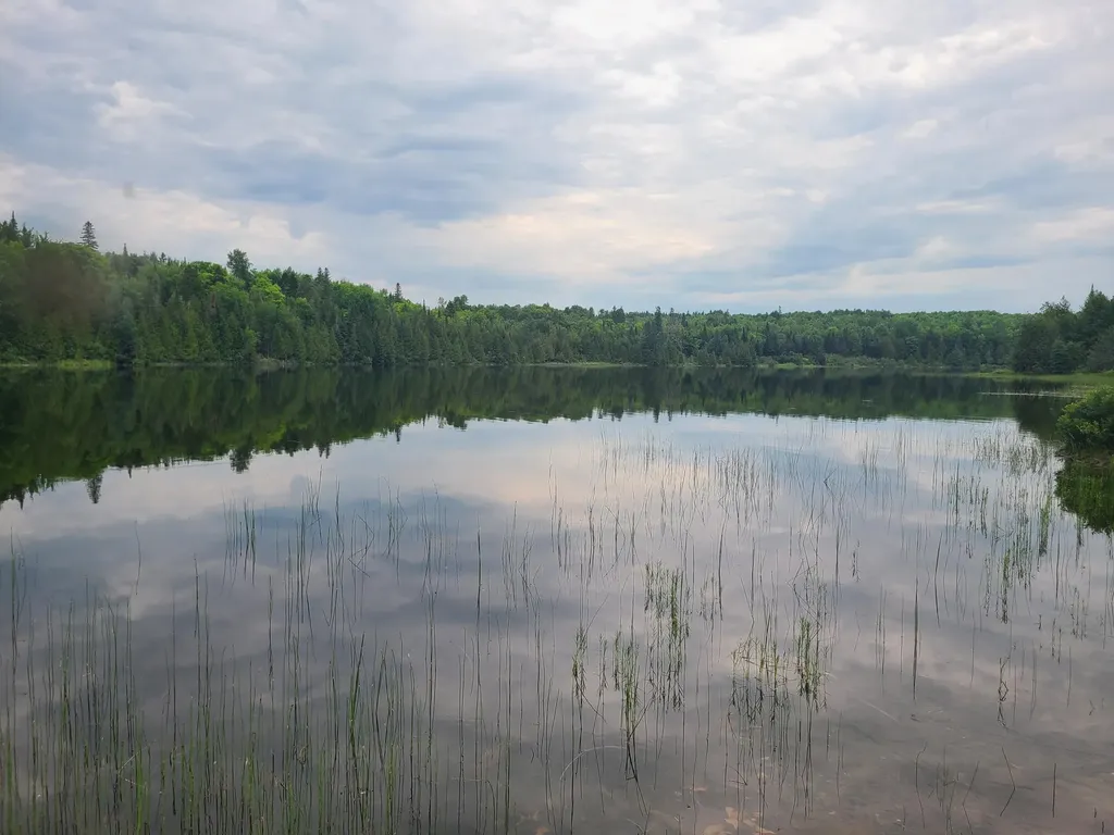 Lot 4 & 5 Russell Lake Road Linneus ME 04730